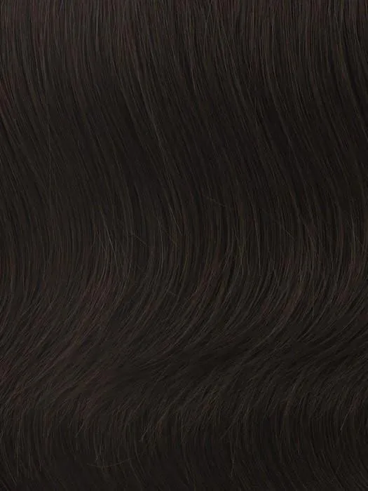 Modern Chignon | HF Synthetic Hair Bun (Clip On)