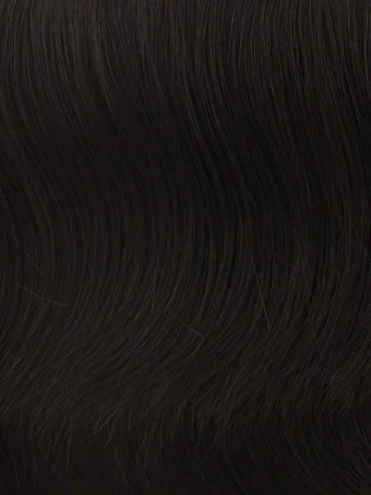 Modern Chignon | HF Synthetic Hair Bun (Clip On)