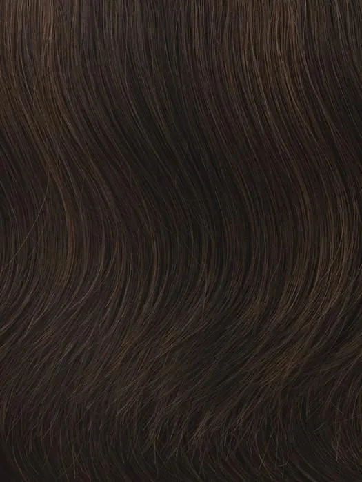 Modern Chignon | HF Synthetic Hair Bun (Clip On)