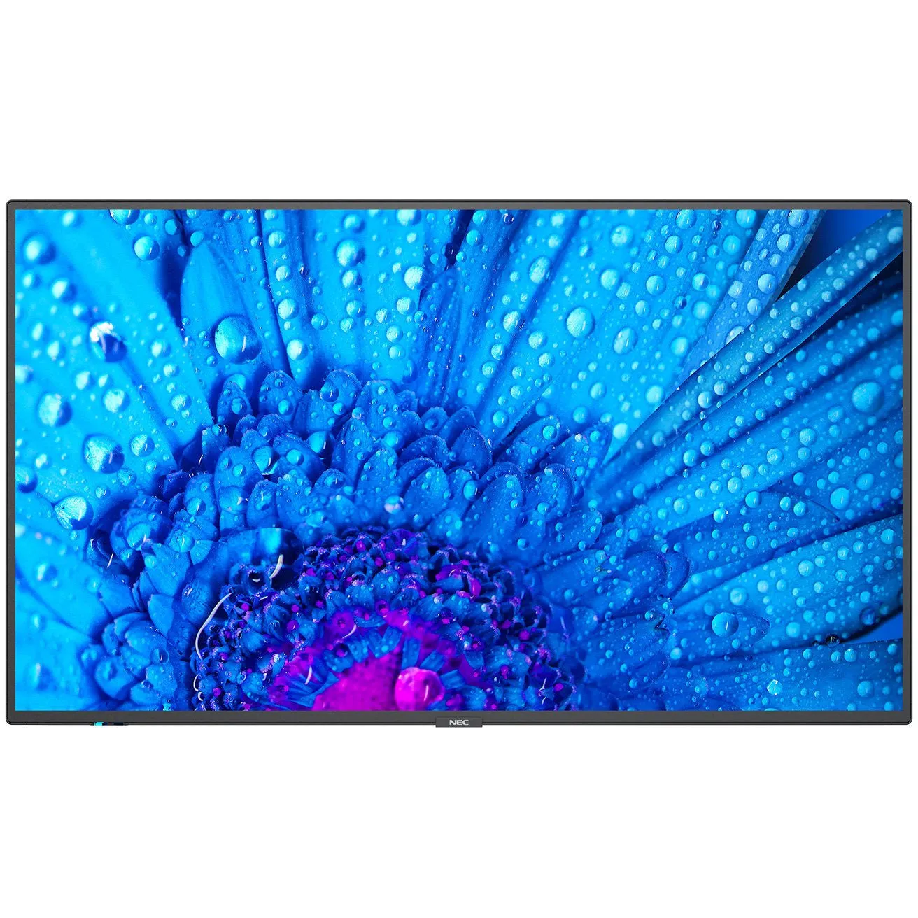 NEC MultiSync® M651 LCD 65" Message Large Format Display