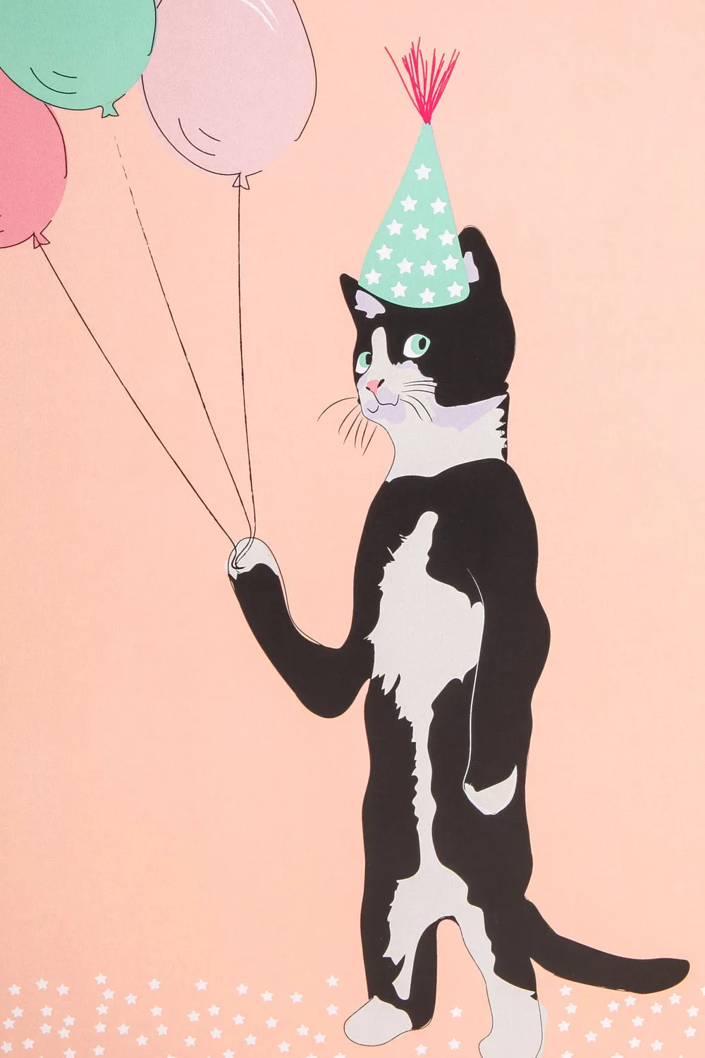 Party Cat | Maxi Card
