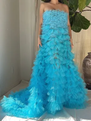 Ruffle Ombre Tulle Hi-Low Gown/Skirt - S-M