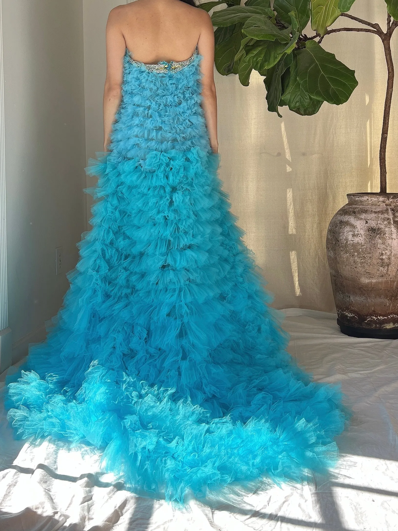 Ruffle Ombre Tulle Hi-Low Gown/Skirt - S-M