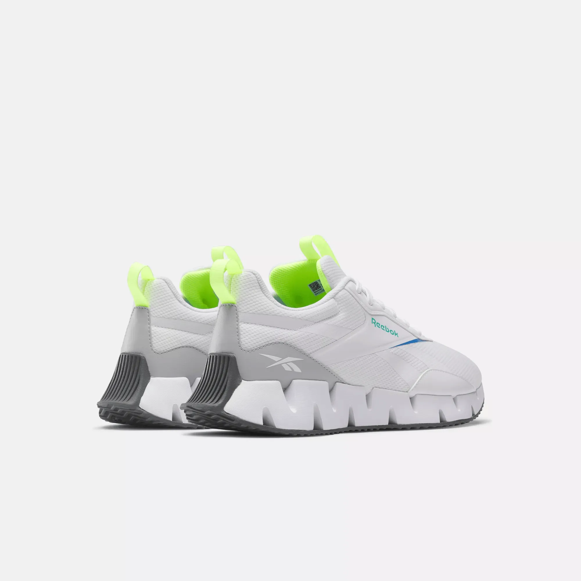 Zig Dynamica STR Shoes