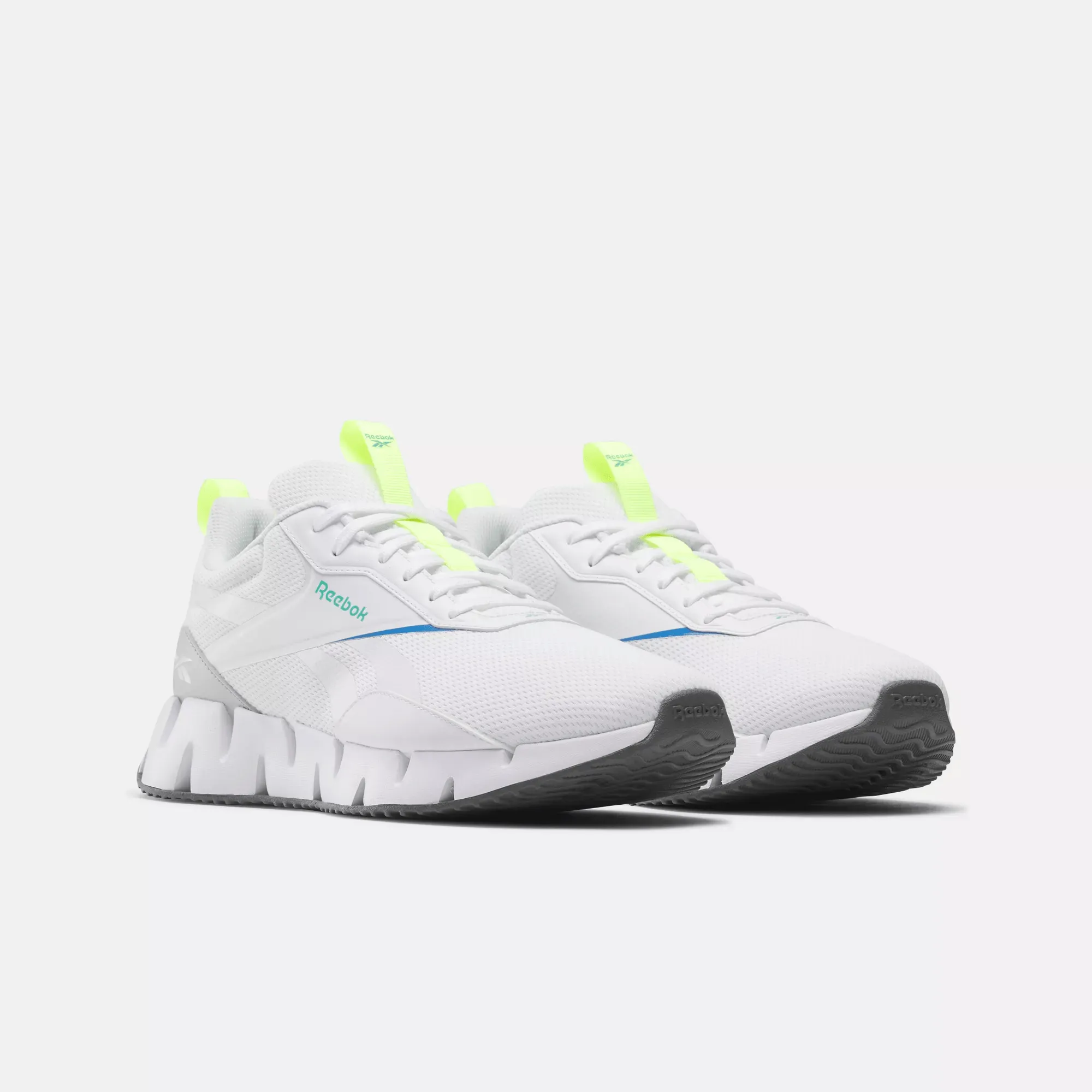 Zig Dynamica STR Shoes